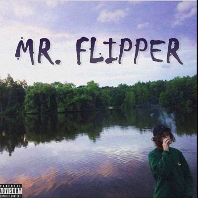 Mr. Flipper