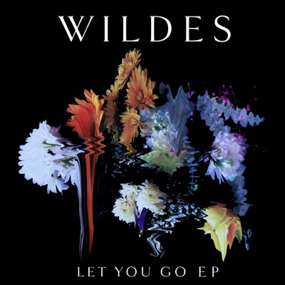 Let You Go - WILDES | Shazam