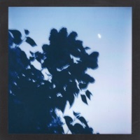 very tired - Single - FOXWEDDING