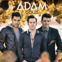 Goud - Adam