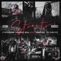 S.T.R.E.E.T.S. (Struggling Through Real Evil Everyday to Survive) - Single - Trepound & Tweezy