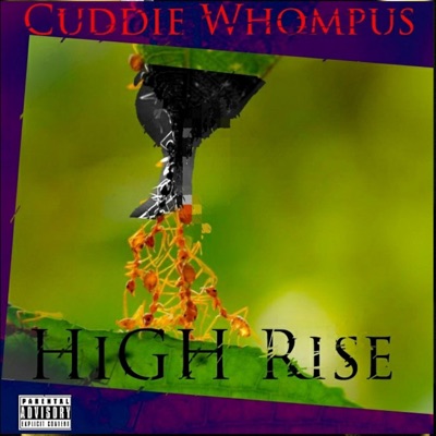 High Rise