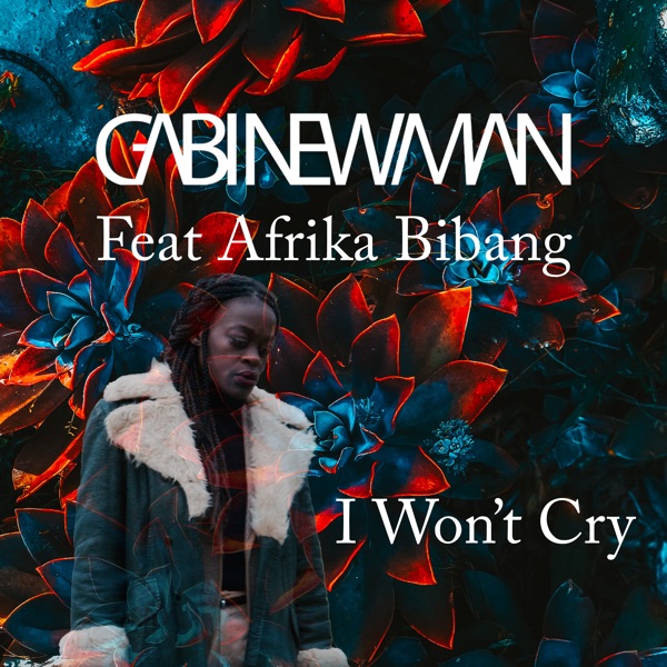 I Won't Cry (feat. Afrika Bibang) - EP