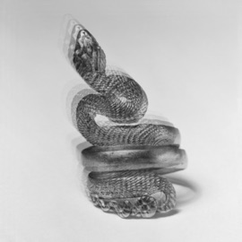 Snakes & Ladders Ashez