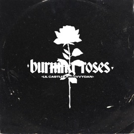Burning Roses (feat. Lil Castle) Wavvvydan