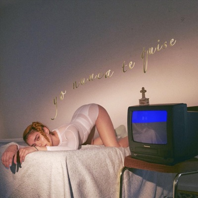 Yo Nunca Te Quise - Single