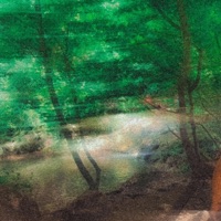 Jungle - Single - Pat Lagoon