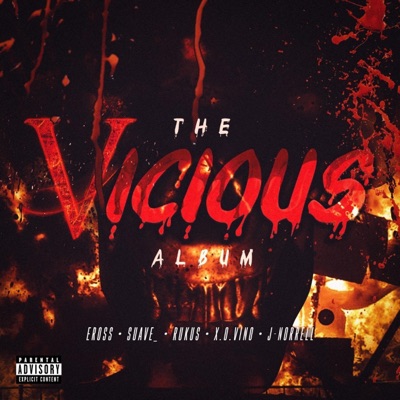 The Vicious Album