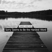 Sorry Seems to Be the Hardest Word artwork