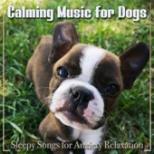 Calming Music for Dogs: Sleepy Songs for Anxiety Relaxation artwork