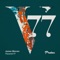 Mandragora (Philipp Kempnich Remix) [Mixed] - Nolah lyrics