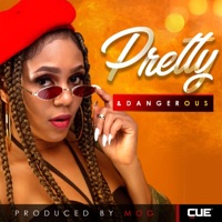 Pretty and Dangerous - Single - Mishasha