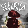 Senorita - Single