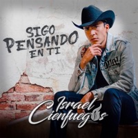 Sigo Pensando en Ti - Single - Israel Cienfuegos