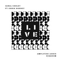 Life (feat. Chris Dorsey) - Single - Jamal Cooley