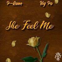She Feel Me (feat. Big Po) - Single - P-Lane