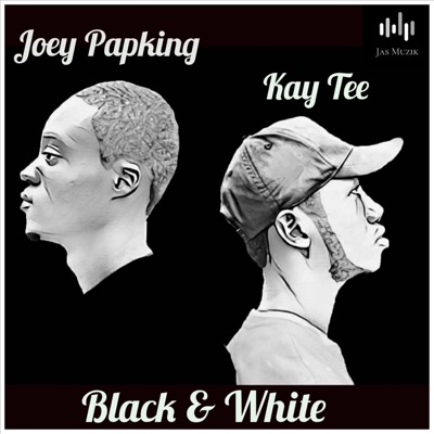 Black & White (feat. Joey Papking) - Single