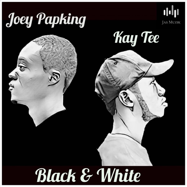 Black & White (feat. Joey Papking)