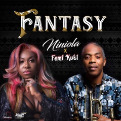 Fantasy (feat. Femi Kuti) - Single