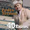 PEDRO YERENA