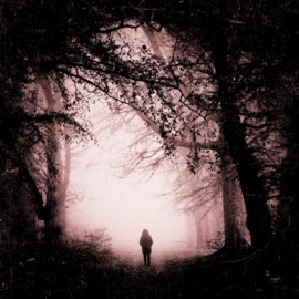 Transparent (feat. Xxyyxx) Therealxmx