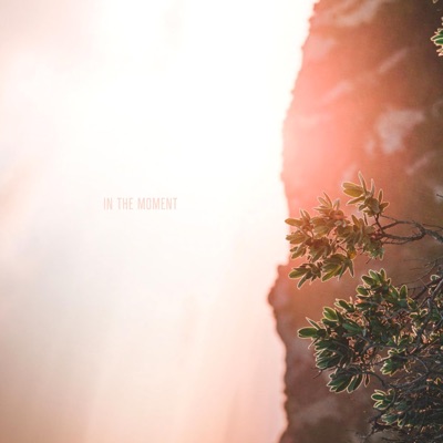 In the Moment - Single