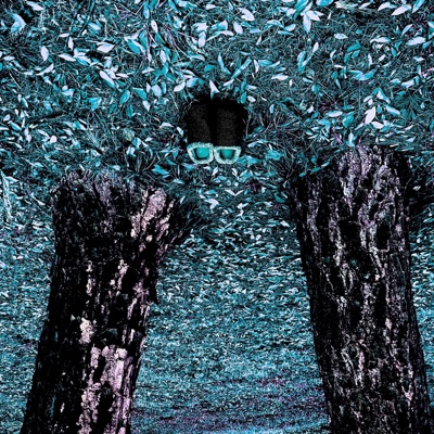 Everything on the Rocks