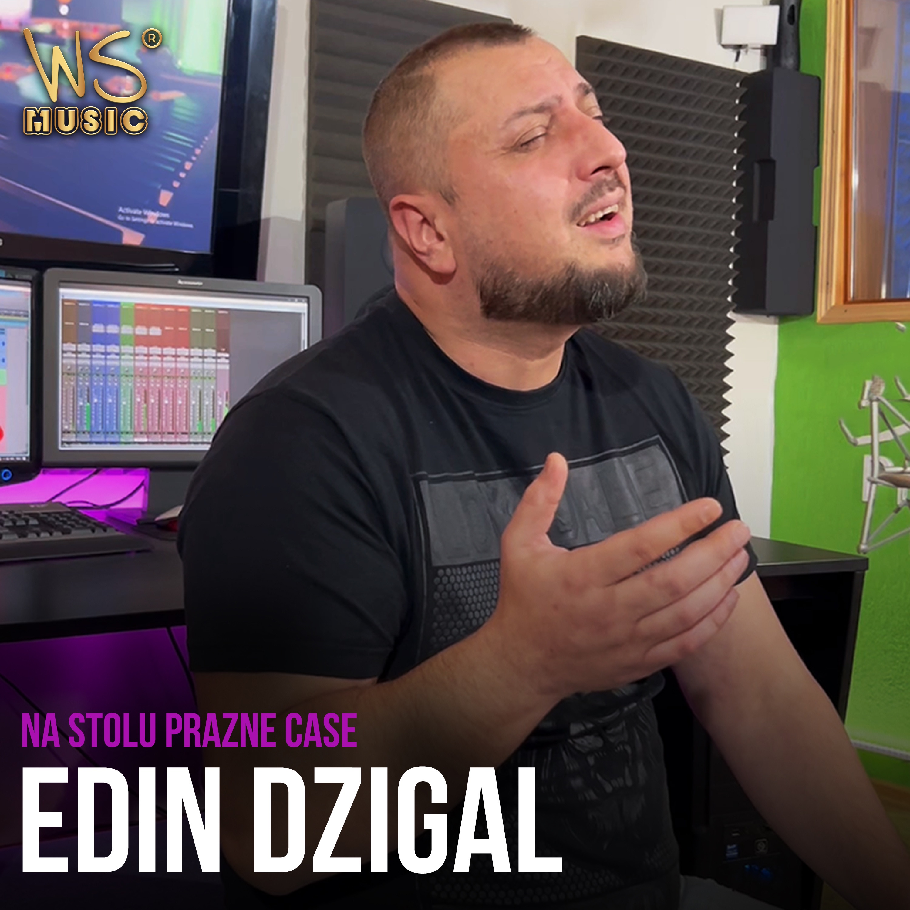 Edin Dzigal - Na stolu prazne case