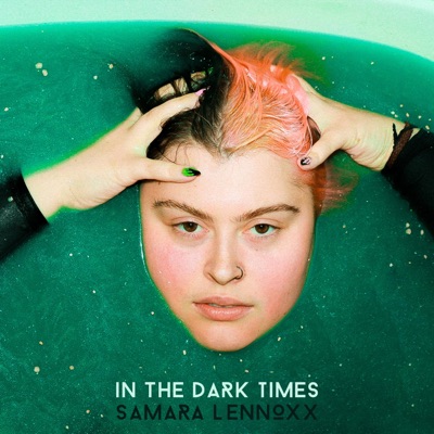 In the Dark Times - Single