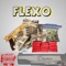 Flexo - DAMO lyrics