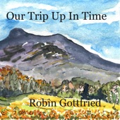Robin Gottfried - It's Back to You