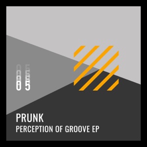 Perception of Groove - Single