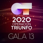 OT Gala 13 (Operación Triunfo 2020) artwork