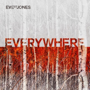 Everywhere - Single