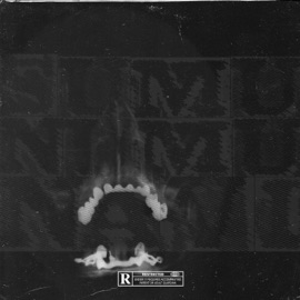 First Last Talks Trapp XL