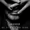 Vasco Rossi - Se ti potessi dire artwork