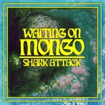 Waiting On Mongo - Shark Attack