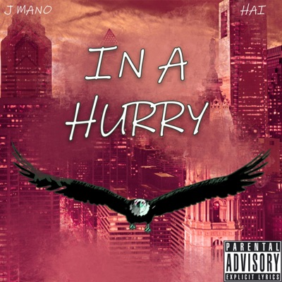 In a Hurry (feat. Hai) - Single