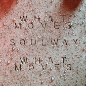 What Moves (Soulwax Remix) artwork