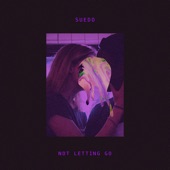 Not Letting Go (feat. Andy Delos Santos) artwork