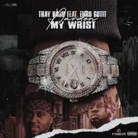 Pardon My Wrist (feat. Euro Gotit) — Tray Kash