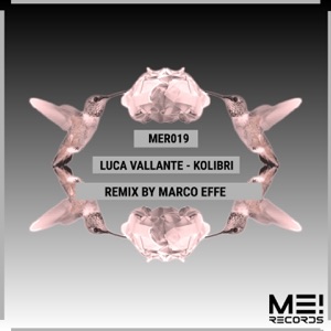 Kolibri - Single