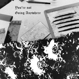 You're Not Going Anywhere MOZI