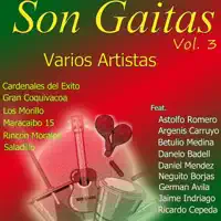 El Negrito Fullero (feat. Ricardo Aguirre) — Cardenales del Exito