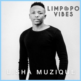 Take Me to Venda (feat. TNS) Lisha Muzique