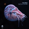 Nautilus Stalking - Single