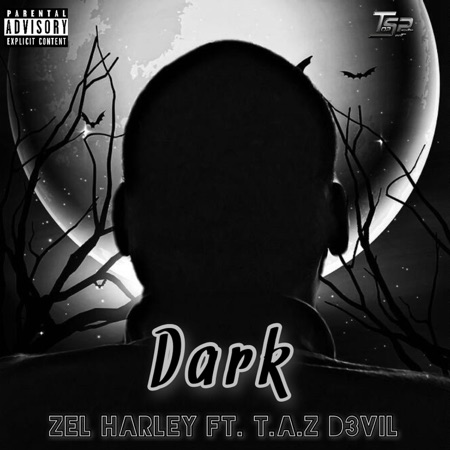 Dark (feat. T.A.Z D3Vil)