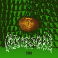 Coccodrillo - Single - CrocoJonny