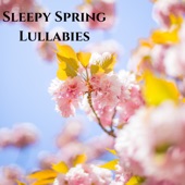 Sleepy Spring Lullabies artwork