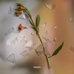 Seeds - EP